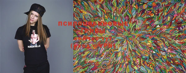 марки lsd Тавда