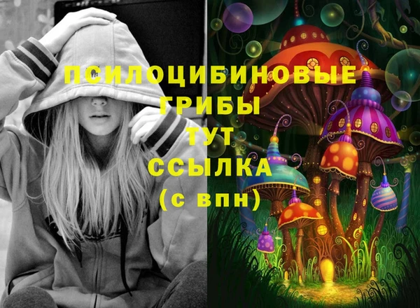 спайс Тайга