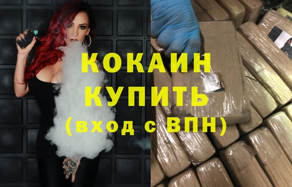 спайс Тайга