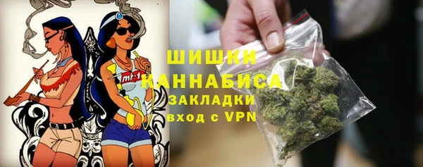 дурь Сясьстрой